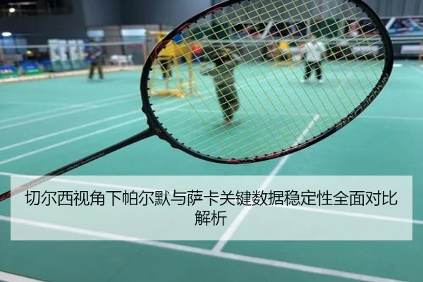 切尔西视角下帕尔默与萨卡关键数据稳定性全面对比解析